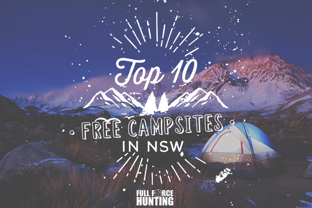10 Free campsites in NSW - Full Force Hunting and Camping