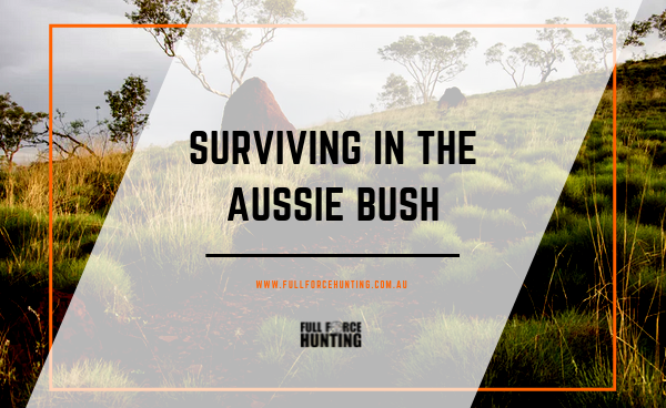 Surviving in the Australian Bush with No Food, Water or Shelter