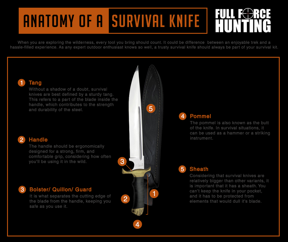 Survival Knife Anatomy
