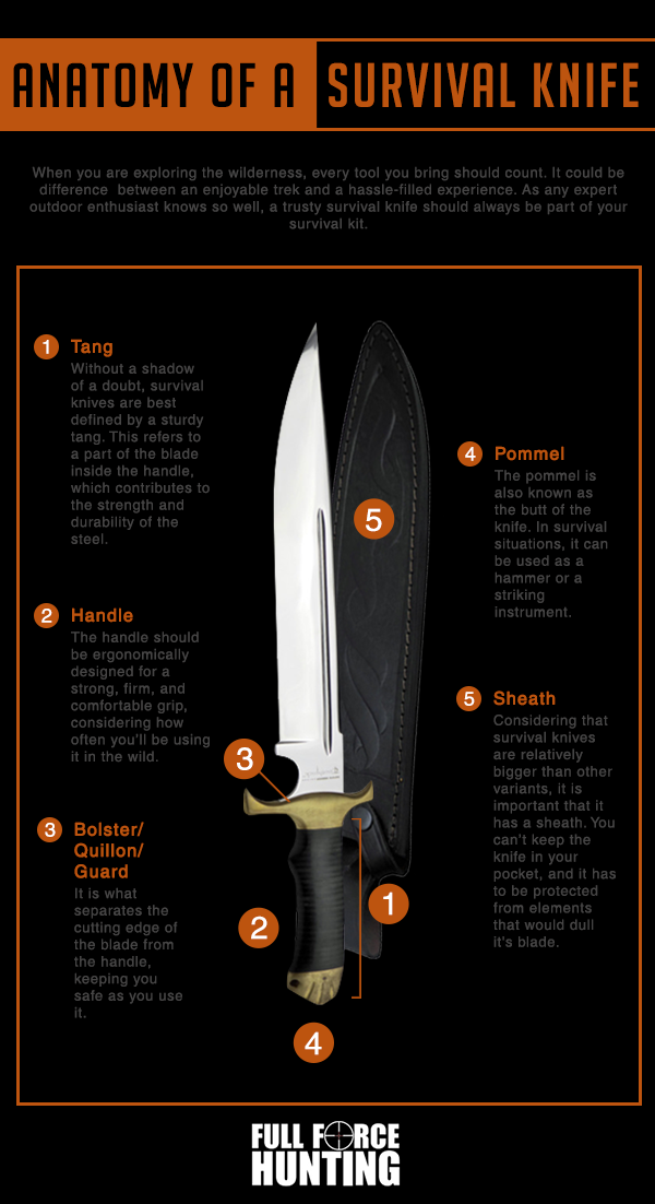 Anatomy of a Survival Knife