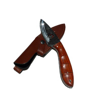 Lobito Polished Blade & Cocobolo Wood Handled Knife JV Adventure